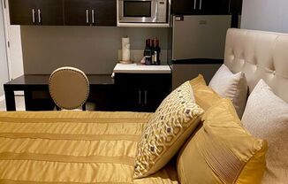 Studio, 1 bath, 450 sqft, $2,200, Unit 101