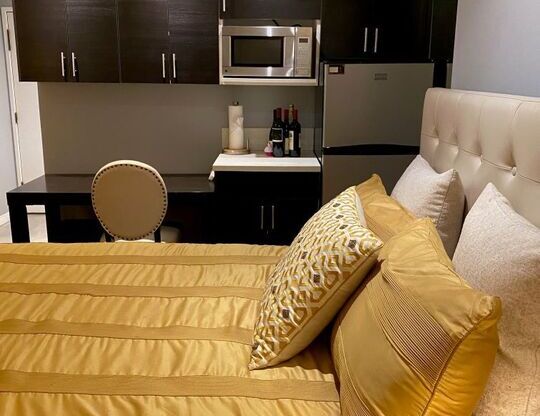 Studio, 1 bath, 450 sqft, $2,200, Unit 101