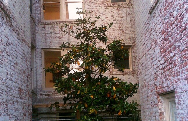 Studio, 1 bath, 300 sqft, $1,425, Unit 202