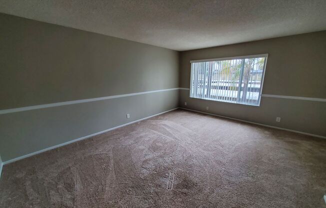 Studio, 1 bath, 408 sqft, $1,850, Unit 143