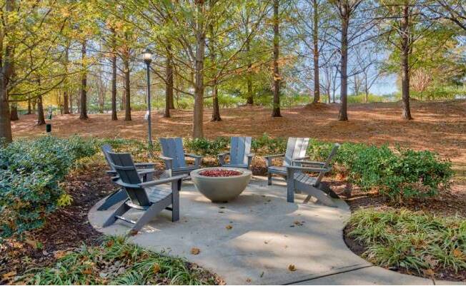 A park bench is surrounded by trees and plants.