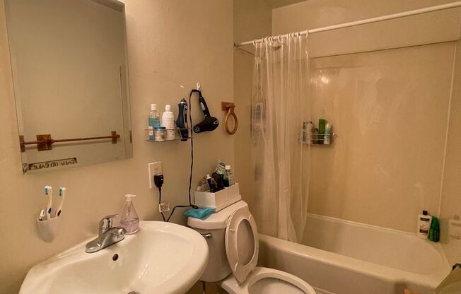 1 bed, 1 bath, 570 sqft, $2,295, Unit 306