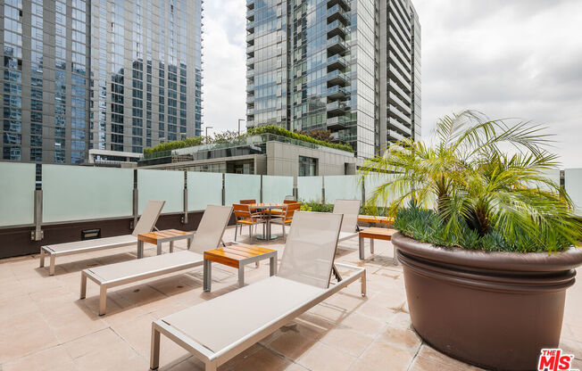 1 bed, 1 bath, 860 sqft, $3,200, Unit 407