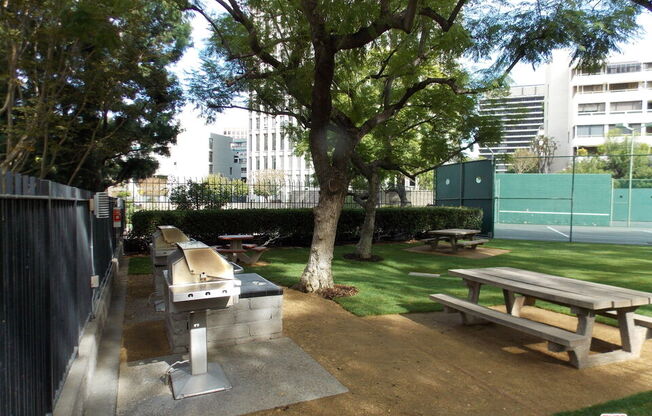 Studio, 1 bath, 481 sqft, $2,250, Unit 1209