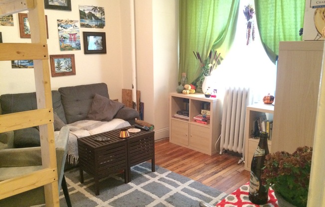 Studio, 1 bath, 297 sqft, $2,100, Unit 01-006