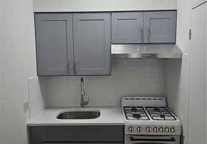 Studio, 1 bath, 330 sqft, $1,300, Unit 1B