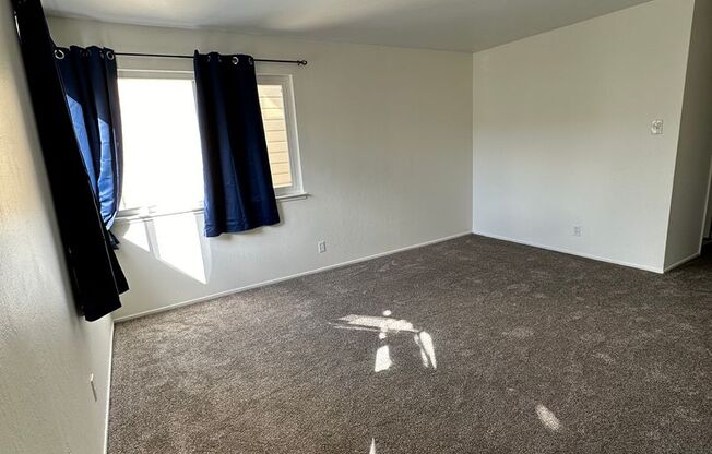 1 bed, 1 bath, $2,300, Unit Unit 202