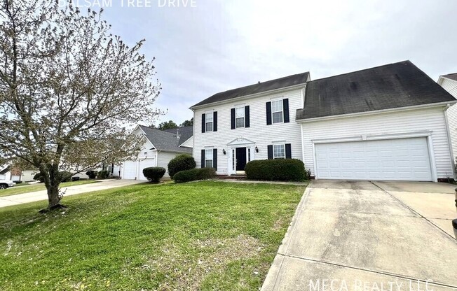 3519 BALSAM TREE DR
