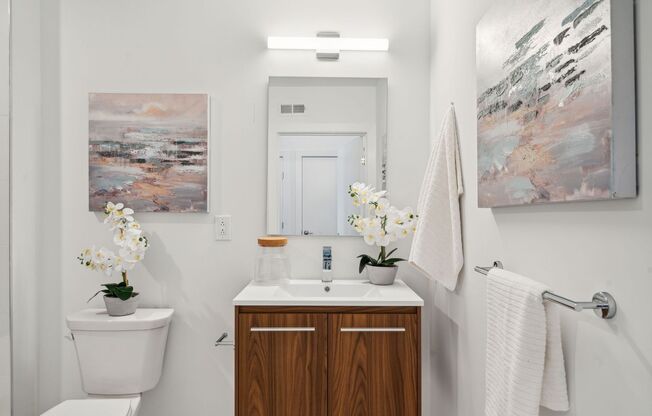 1 bed, 1 bath, 505 sqft, $1,238, Unit 109