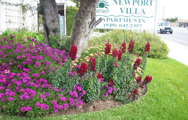 Newport Villa Apartments