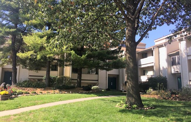 Remodeled condo available for July!
