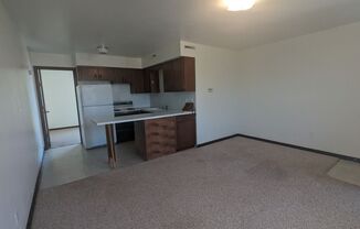 1 bed, 1 bath, $625, Unit 706 W Cunningham Dr. Apt. 4