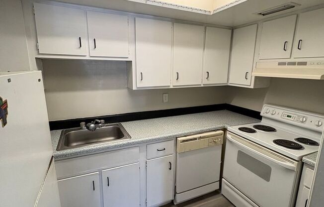 Spacious Studio in Maitland!