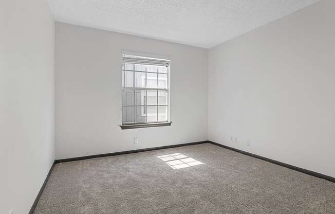 an empty room with a window and carpet