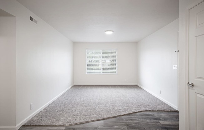 a room with white walls and a white carpet and a window