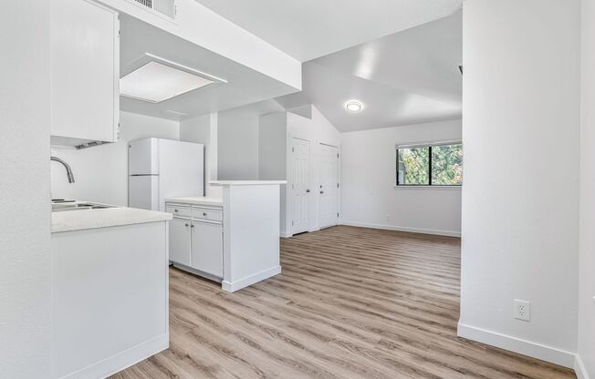 1 bed, 1 bath, 570 sqft, $1,425, Unit 1006-203
