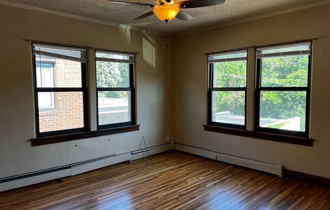 Studio, 1 bath, 336 sqft, $850