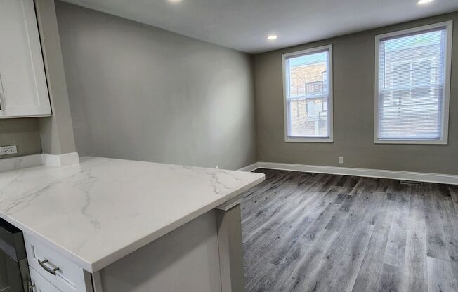 Brand new rehab luxury coach house in Albany Park
