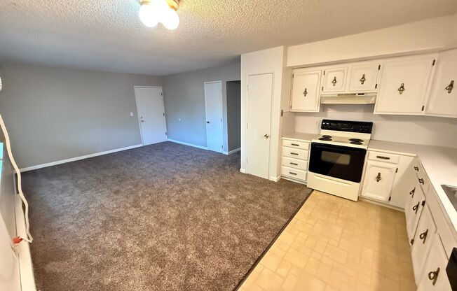 1113 S 18th Ave