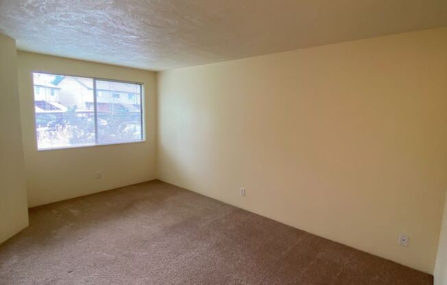 1 bed, 1 bath, 700 sqft, $1,475, Unit 0019