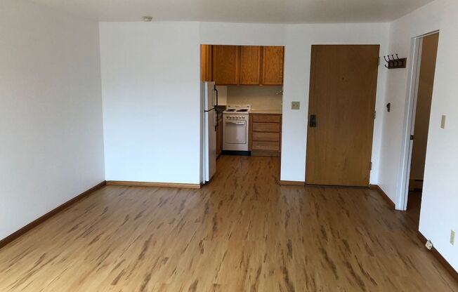 Studio, 1 bath, $1,300, Unit Unit #303