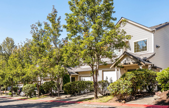 Beautiful tree lined grounds - Springbrook Apartments