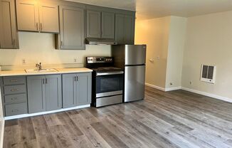 Studio, 1 bath, 462 sqft, $1,750, Unit 109