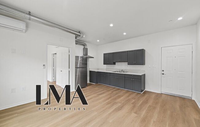 Studio, 1 bath, 500 sqft, $1,238, Unit 206