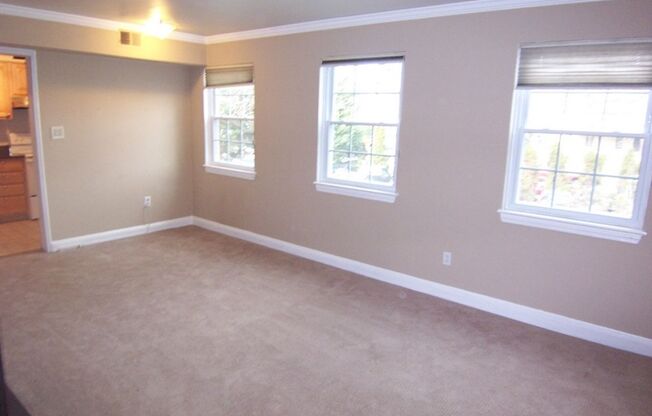Sunny, spacious 1BR/1BA Condo in Arlington's Precious Palisades Condos w/Parking