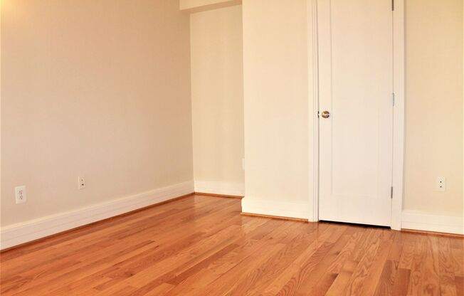 1 bed, 1 bath, 505 sqft, $2,450, Unit 220