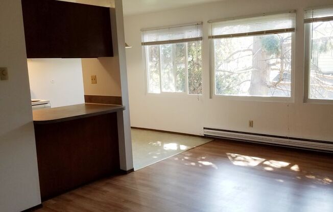 1 bed, 1 bath, 700 sqft, $1,475, Unit 203