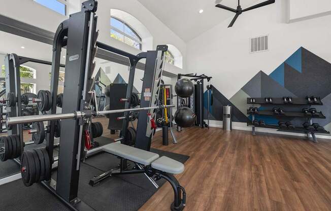A gym with a variety of equipment including a squat rack, bench, and weights.