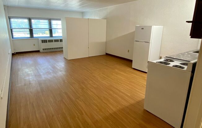 1 bed, 1 bath, 450 sqft, $1,195, Unit 110