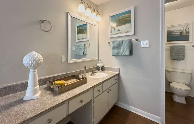 a bathroom with a sink and a mirror and a toilet