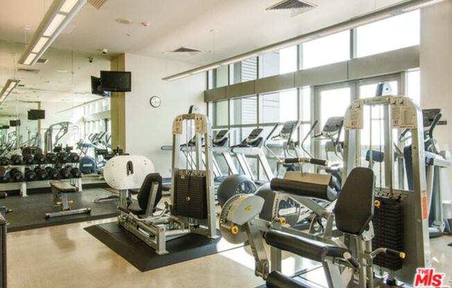 1 bed, 1 bath, 1,020 sqft, $2,900, Unit 316