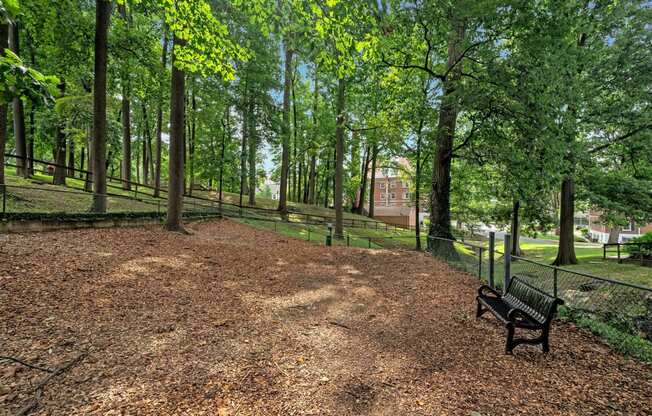 a park bench sitting in the middle of a forest