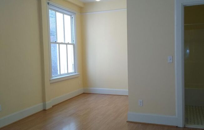 Studio, 1 bath, 300 sqft, $1,050, Unit 203