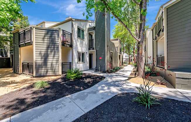 A tree in front of a building with a small garden in front of it.