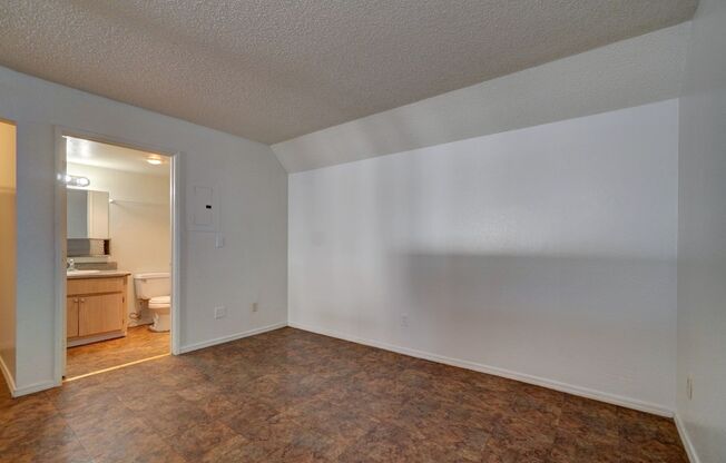 Studio, 1 bath, 494 sqft, $600, Unit 110