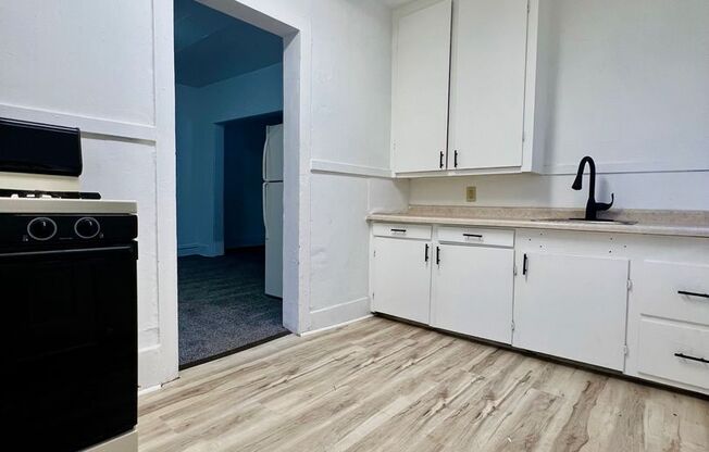 Studio, 1 bath, $725, Unit #1