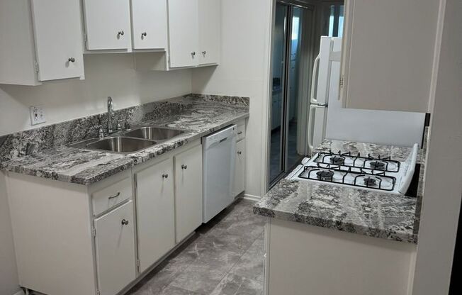 1 bed, 1 bath, 505 sqft, $1,949, Unit 124