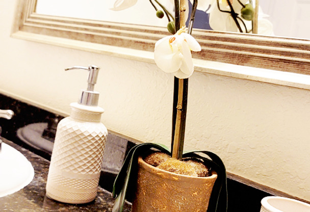 1 bed, 1 bath, 826 sqft, $1,300, Unit 3110