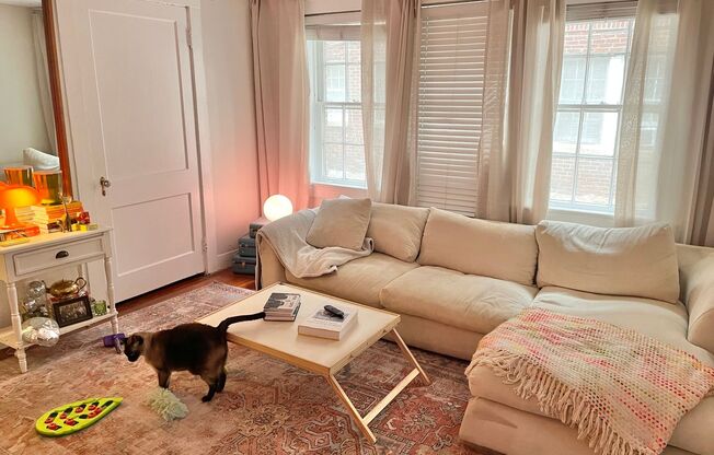 1 bed, 1 bath, 750 sqft, $1,595, Unit 869-4