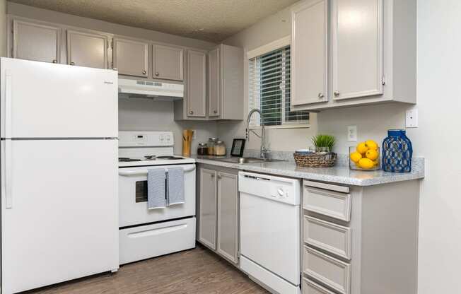 Tamaryn | Townhome B Kitchen