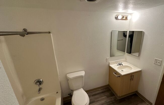 Studio, 1 bath, 315 sqft, $1,100