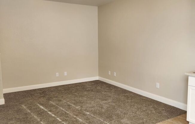 Studio, 1 bath, $1,600