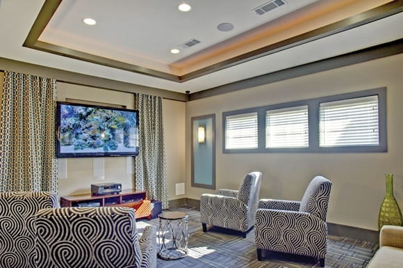 Movie Theater with Flat Screen TV