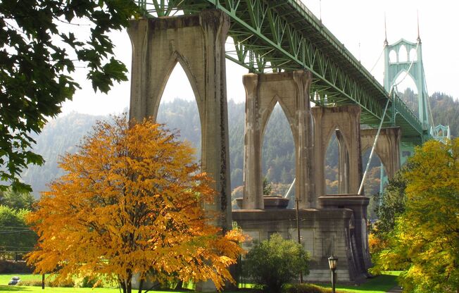 1 bed, 1 bath, 551 sqft, $1,410, Unit 2-113