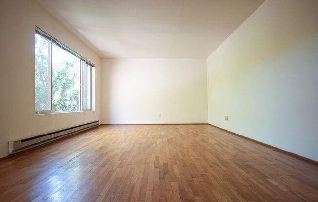 Convenient One-Bedroom Living Near the University of Washington