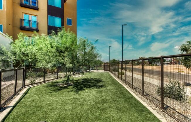 Dog Park at Elevation San Tan, Gilbert, 85295